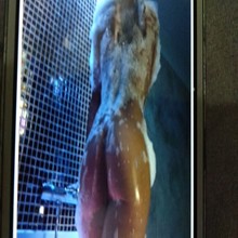 Chica catal&aacute;n......... 28a&ntilde;os. Hago todos los servicios