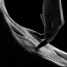 TANTRIC TEAM SEARCH RENT APARTMENT