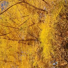 Señor para mugeres masajes heroticos