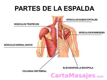 quinta imagen miniatura: MASAJES TERAPÈUTICOS  MASAJES RELAJANTES Mary