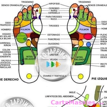 segunda imagen miniatura: Masajista maduro y rellenito, Recibo en mi casa y a domicilios con cita