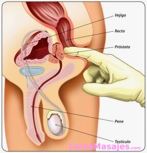 tercera imagen miniatura: Masajista maduro y rellenito, Recibo en mi casa y a domicilios con cita