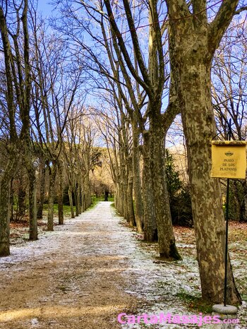 primera imagen miniatura: Masajes er&oacute;ticos a cuatro manos 🙌