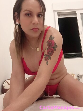 quinta imagen miniatura: TRANS LATINA