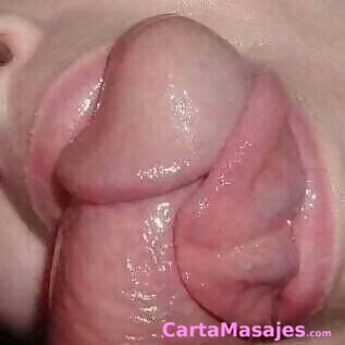 primera imagen miniatura: chico activo pasivo versatil masajista y compa&ntilde;ia joven terrassa