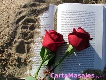 primera imagen miniatura: Masajes solo mujeres erotic