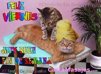 primera imagen miniatura: Servicios premium