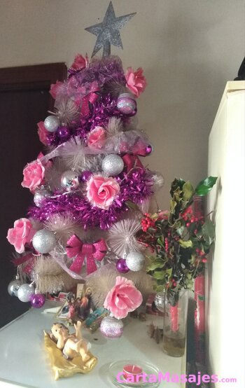 primera imagen miniatura: Dulce Navidad