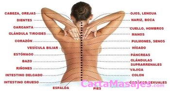 segunda imagen miniatura: Quiromasajista profesional masculino para mujeres