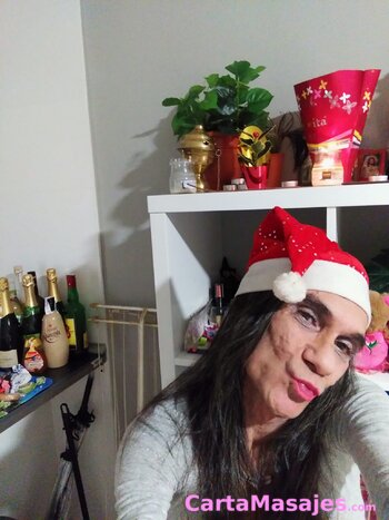 primera imagen miniatura: Felices fiestas