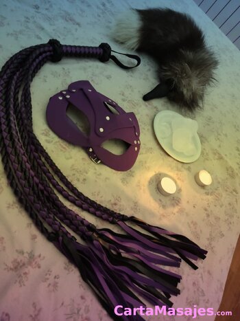 primera imagen miniatura: Ama experimentada y estricta busca nuevos perros para adiestrar.