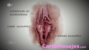 quinta imagen miniatura: Masaje tantrico para mujeres