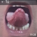 Mamo polla gratis