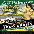 FIESTA TROPICAL CLUB LAS PALMERAS JUNIO